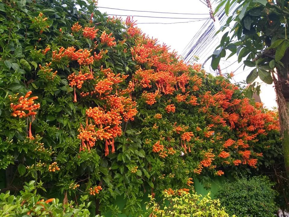 Baan Bua Homestay Chiang Rai Extérieur photo